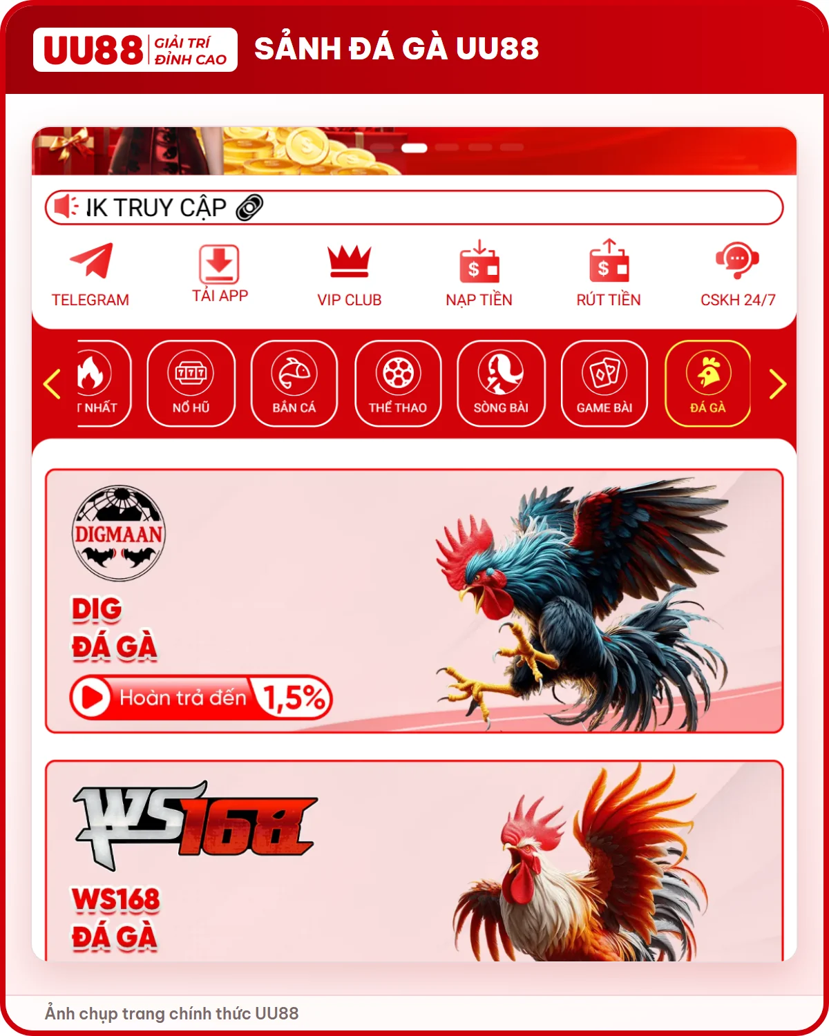 Sảnh đá gà UU88 với DIG, WS168 và SV388