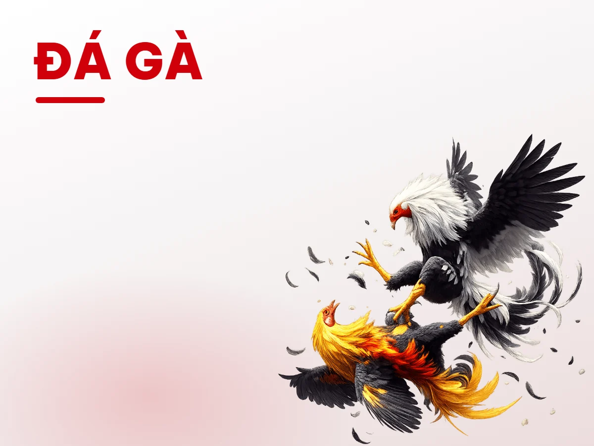 Sảnh đá gà UU88